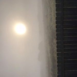 Meet your Posher, Ron